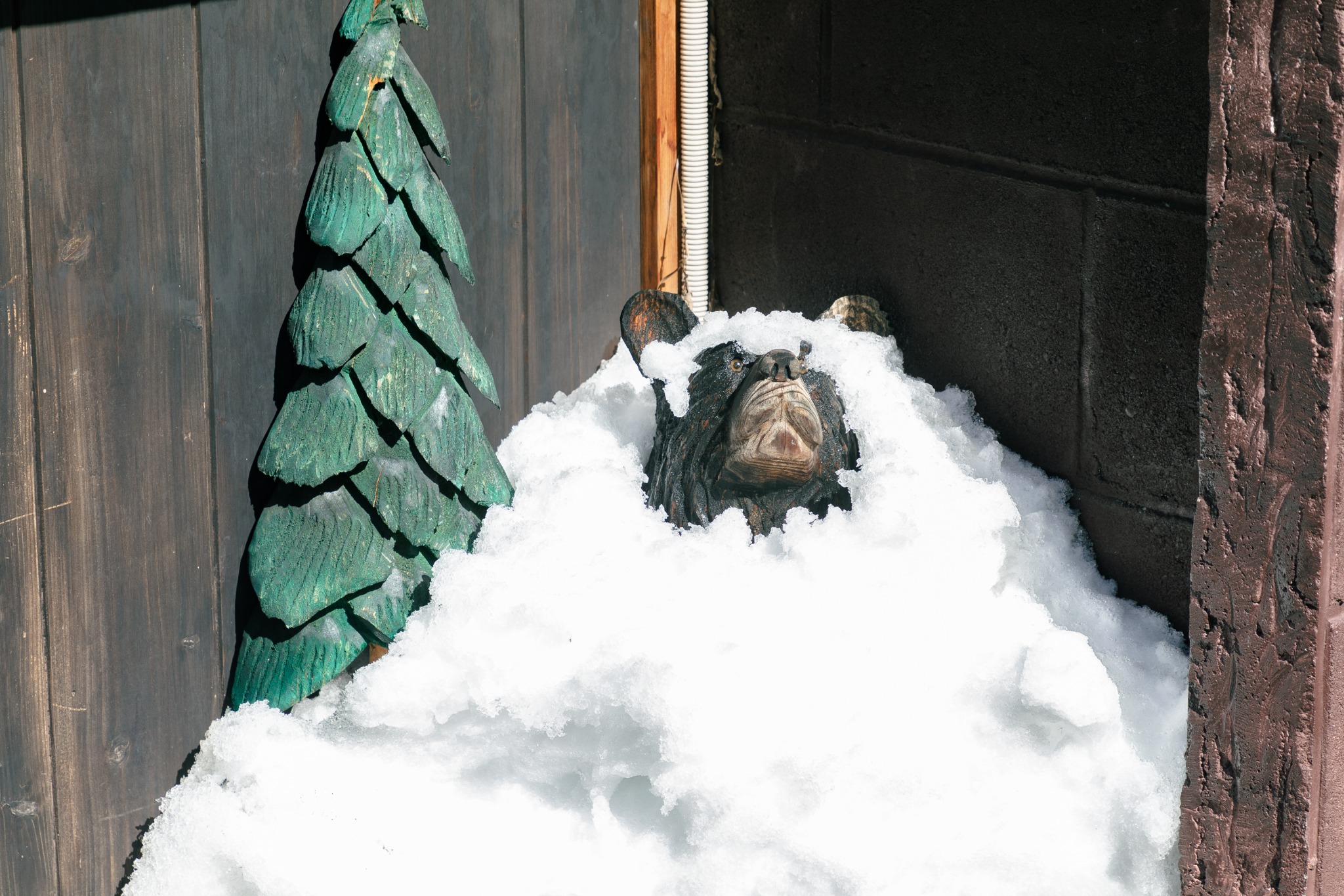 雪に顔をうずめる犬