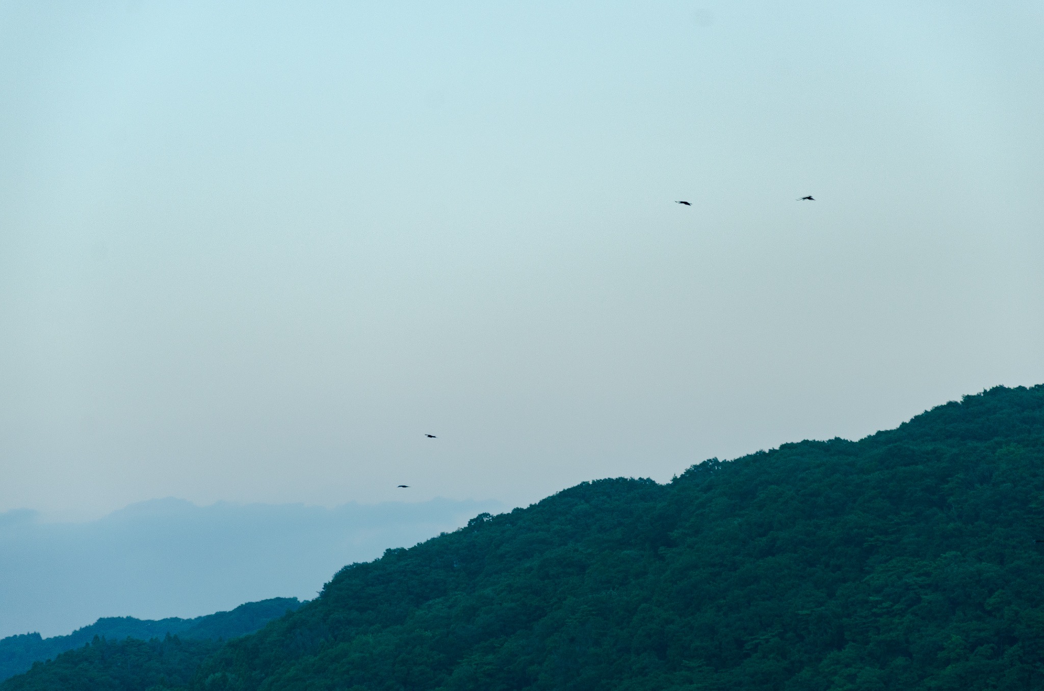 遠い山並みの上を飛ぶ小さな鳥たち