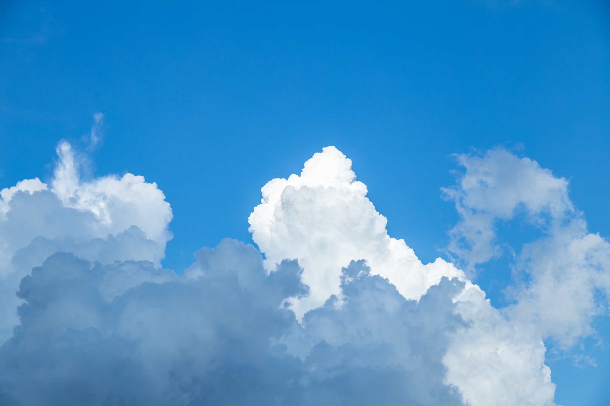 青空に立ち上がる夏の白い雲